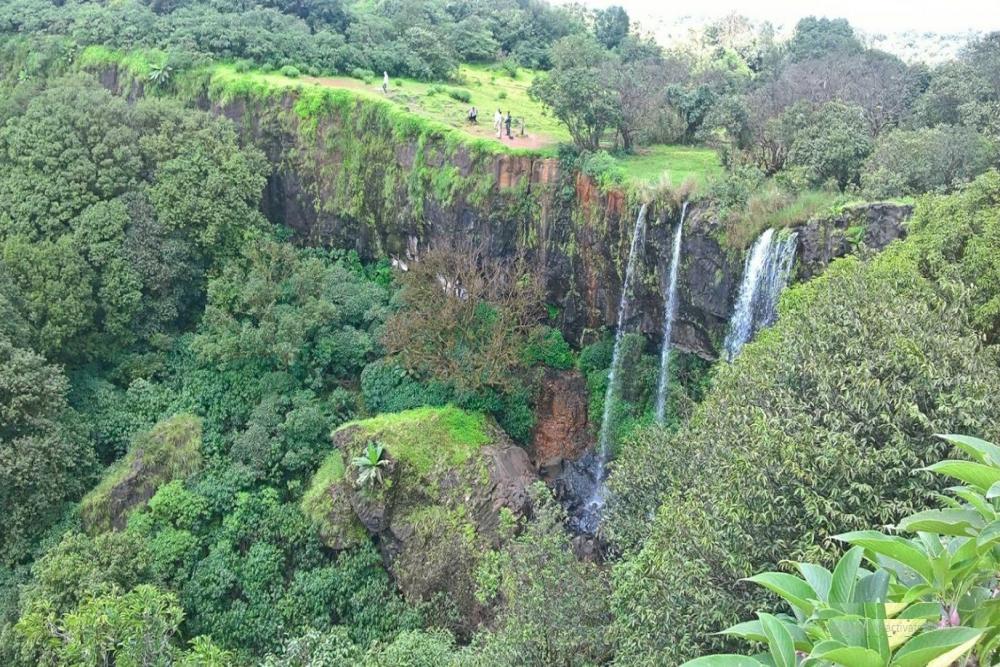 Mhadei Wildlife Sanctuary